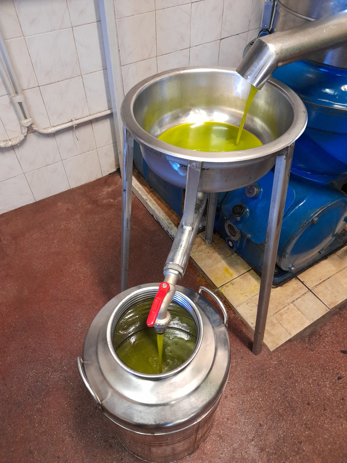 spremitura di olive