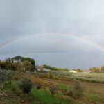 Il Borgo dell’Olio Umbro, una location tra gusto e bellezza