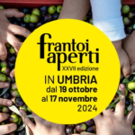 Frantoi Aperti in Umbria, tutti glli appuntamenti dell’edizione 2024